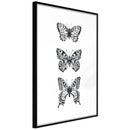 Poster - Butterfly Collection III  - zwart