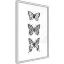 Poster - Butterfly Collection III  - wit