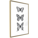 Poster - Butterfly Collection III  - goud