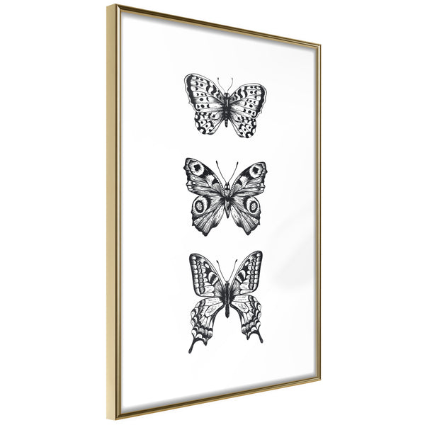 Poster - Butterfly Collection III  - goud