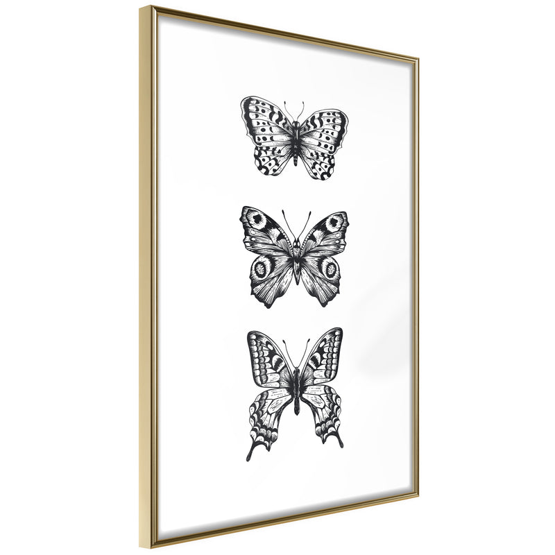 Poster - Butterfly Collection III  - goud