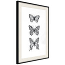 Poster - Butterfly Collection III  - zwart passepartout