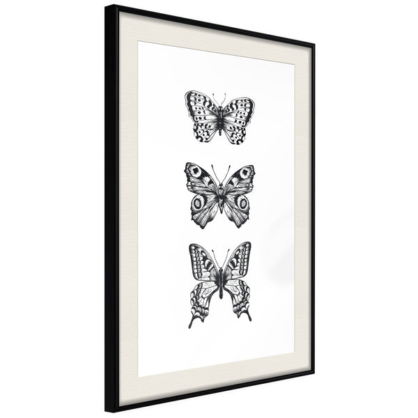 Poster - Butterfly Collection III  - zwart passepartout