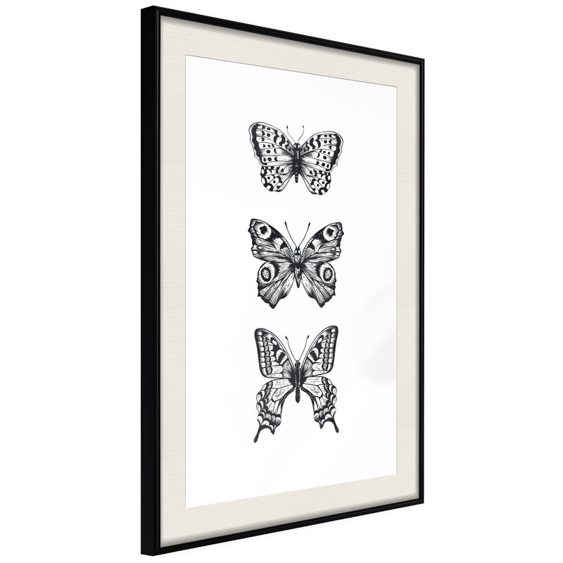 Poster - Butterfly Collection III  - zwart passepartout