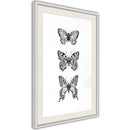 Poster - Butterfly Collection III  - wit passepartout