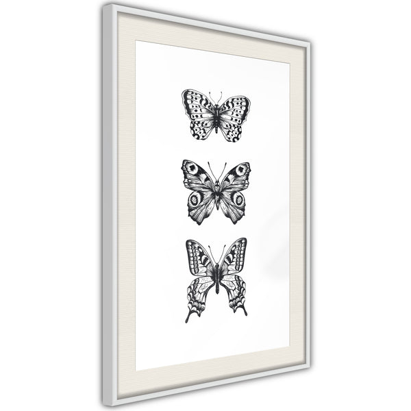 Poster - Butterfly Collection III  - wit passepartout
