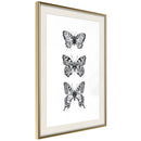 Poster - Butterfly Collection III  - goud passepartout