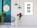 Poster - Butterfly Collection III  - wit passepartout