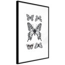 Poster - Butterfly Collection IV  - zwart