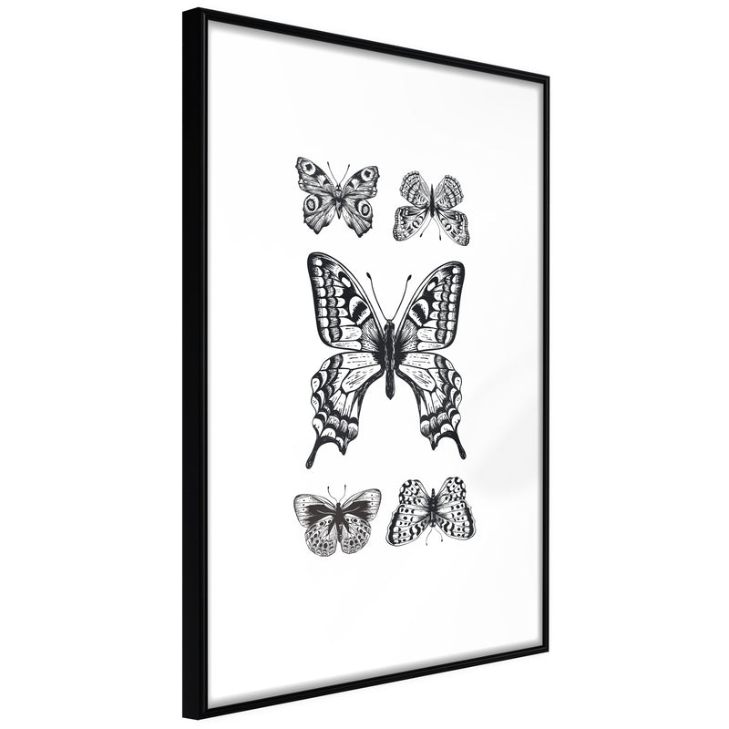 Poster - Butterfly Collection IV  - zwart