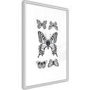 Poster - Butterfly Collection IV  - wit