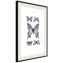 Poster - Butterfly Collection IV  - zwart passepartout