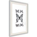 Poster - Butterfly Collection IV  - wit passepartout