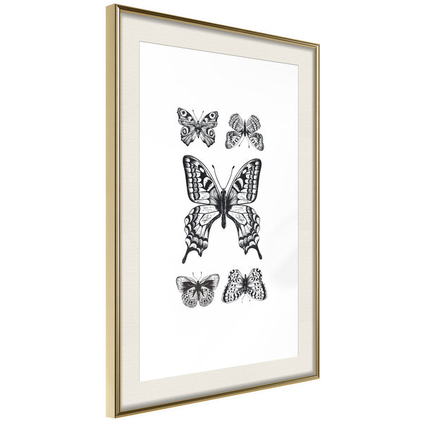 Poster - Butterfly Collection IV  - goud passepartout