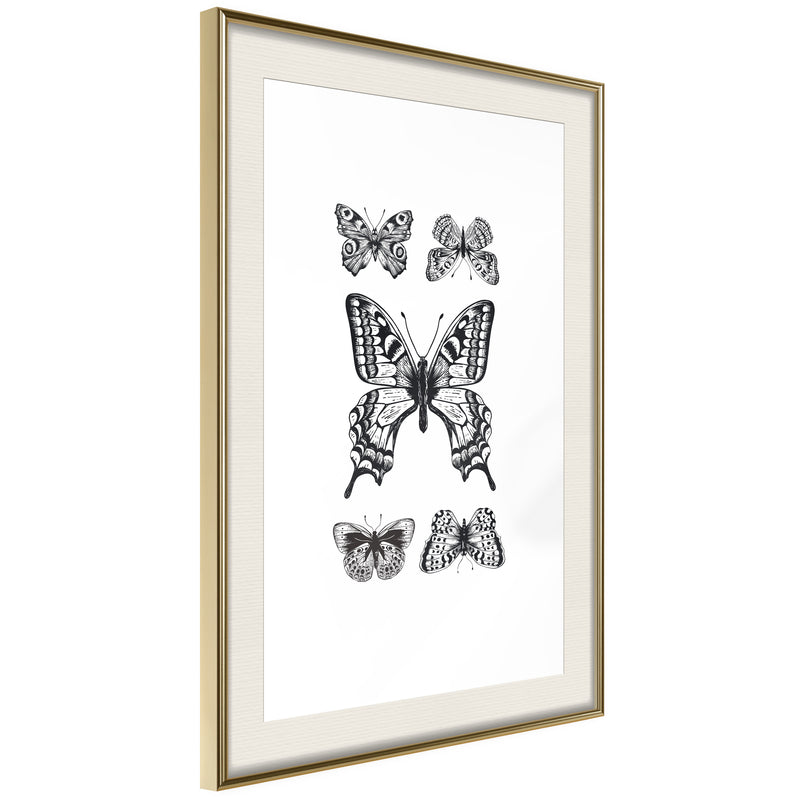 Poster - Butterfly Collection IV  - goud passepartout