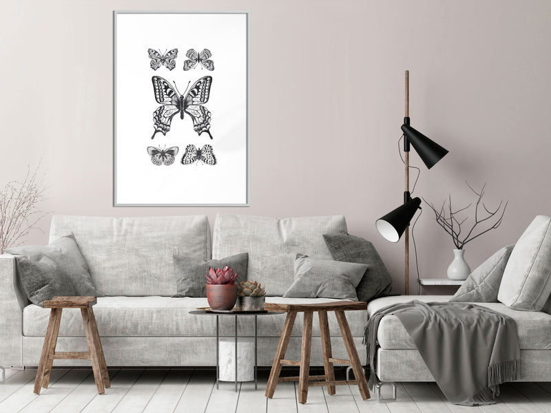 Poster - Butterfly Collection IV  - wit