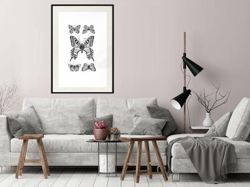 Poster - Butterfly Collection IV  - zwart passepartout