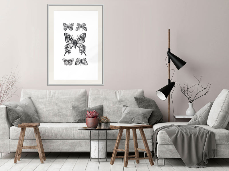 Poster - Butterfly Collection IV  - wit passepartout