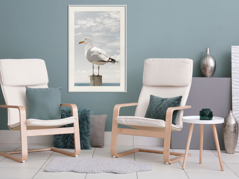 Poster - Curious Seagull  - wit passepartout