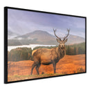 Poster - Majestic Deer  - zwart