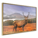 Poster - Majestic Deer  - goud