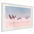 Poster - Flamingos Breaking into a Flight  - wit passepartout