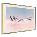 Poster - Flamingos Breaking into a Flight  - goud passepartout
