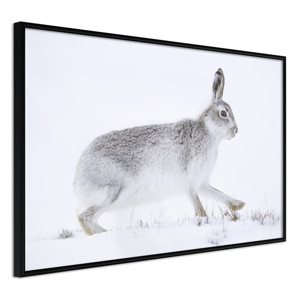 Poster - Escape in the Snow  - zwart