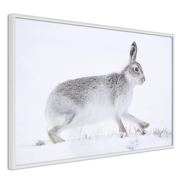 Poster - Escape in the Snow  - wit