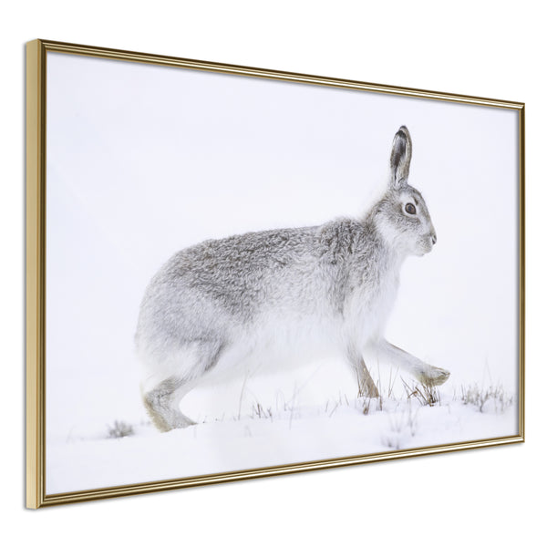 Poster - Escape in the Snow  - goud