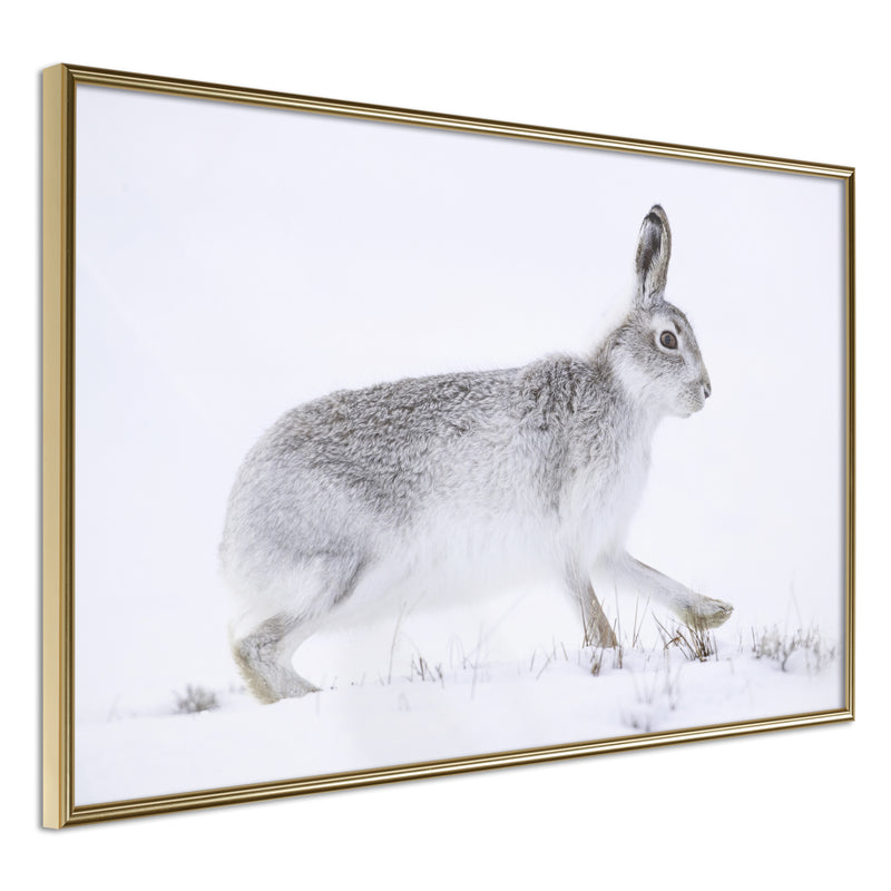 Poster - Escape in the Snow  - goud