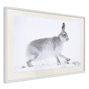 Poster - Escape in the Snow  - wit passepartout