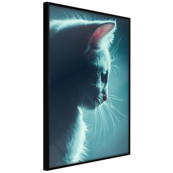 Poster - Adorable Furball  - zwart