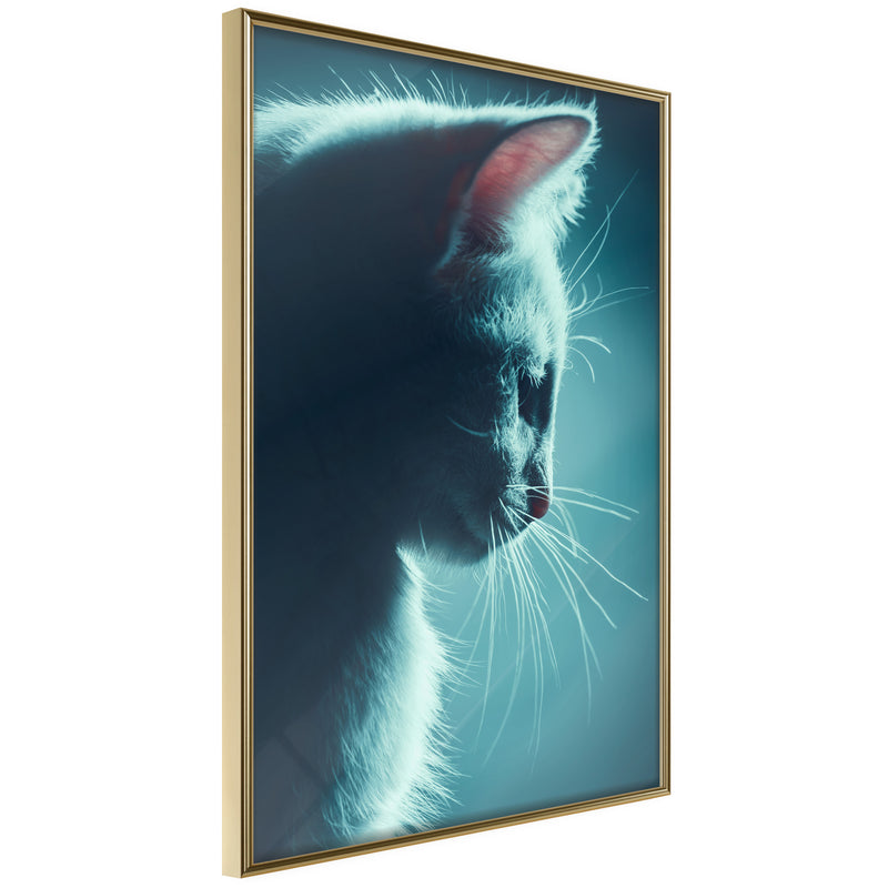 Poster - Adorable Furball  - goud