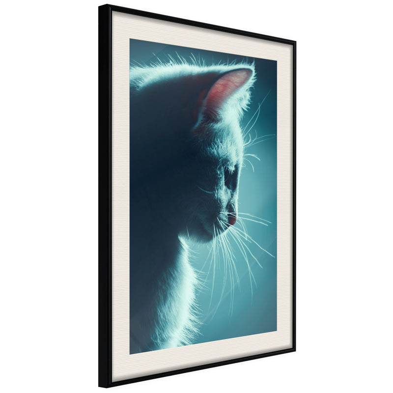 Poster - Adorable Furball  - zwart passepartout