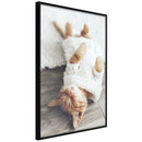 Poster - Kitten Life  - zwart