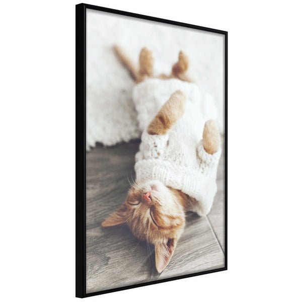 Poster - Kitten Life  - zwart
