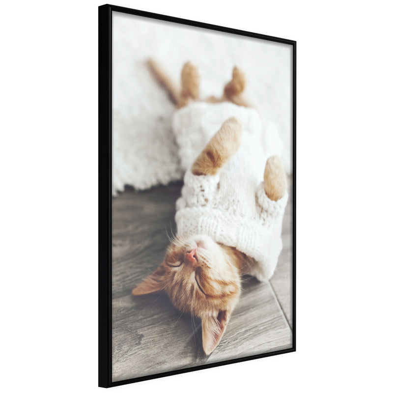 Poster - Kitten Life  - zwart