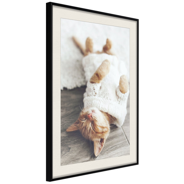 Poster - Kitten Life  - zwart passepartout
