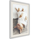 Poster - Kitten Life  - wit passepartout