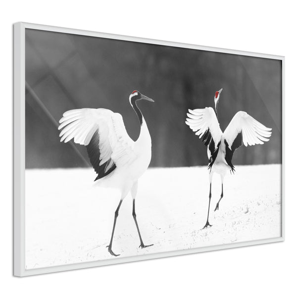 Poster - Bird Date  - wit