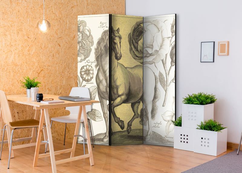 https://www.fotoartgeist.pl/ebaytemp/parawan/g-C-0036-z-b/g-C-0036-z-b-ebVis2.jpg