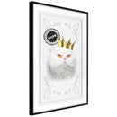 Poster - Cat Rules II  - zwart