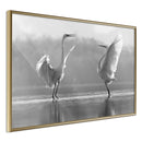 Poster - Black and White Herons  - goud