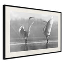 Poster - Black and White Herons  - zwart passepartout