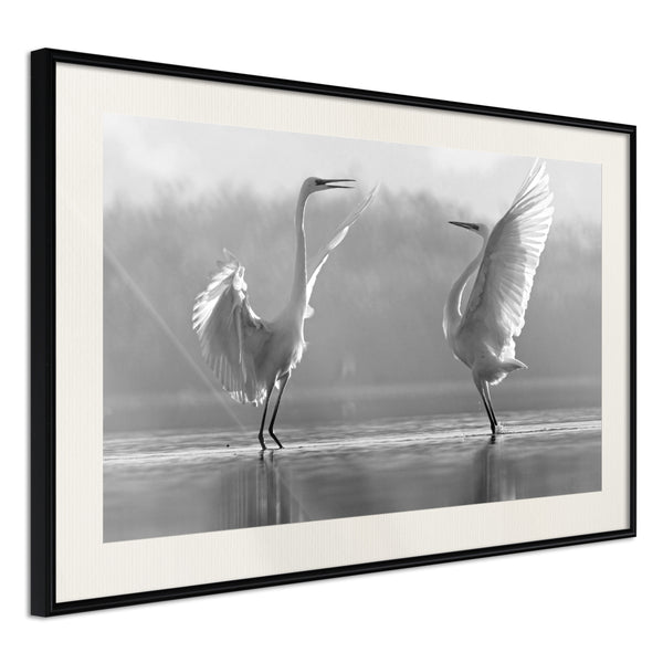 Poster - Black and White Herons  - zwart passepartout