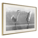 Poster - Black and White Herons  - goud passepartout