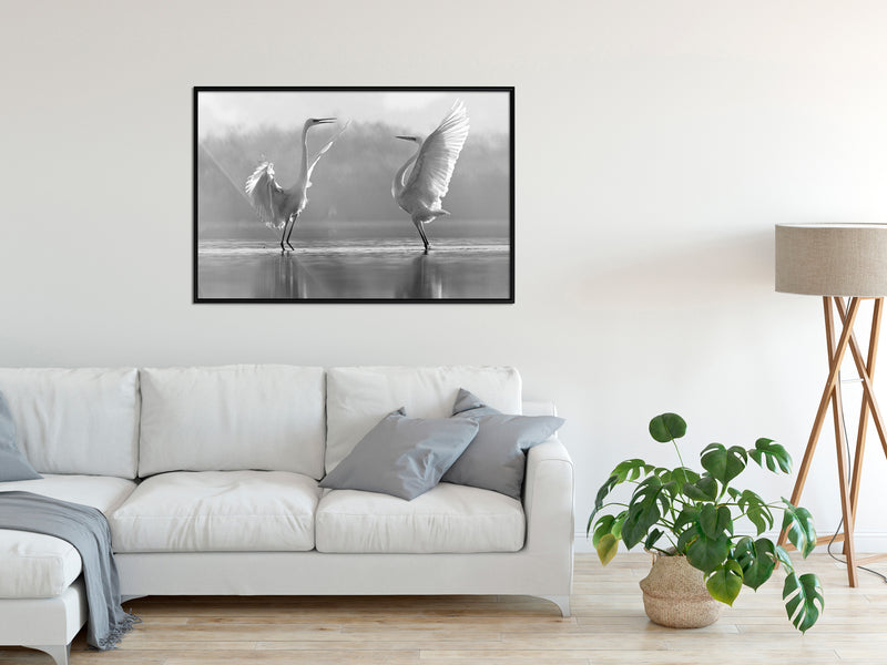 Poster - Black and White Herons  - zwart