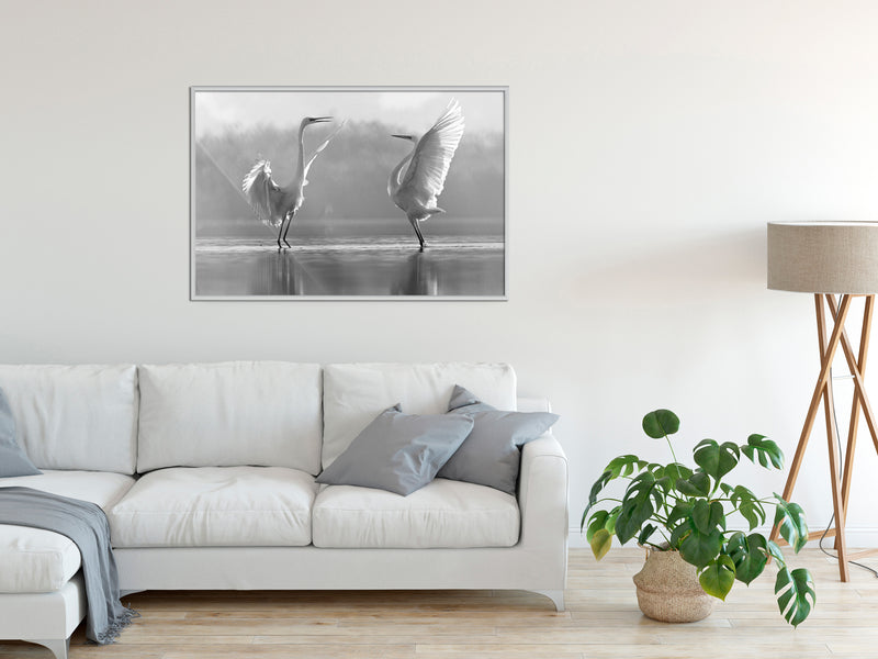 Poster - Black and White Herons  - wit