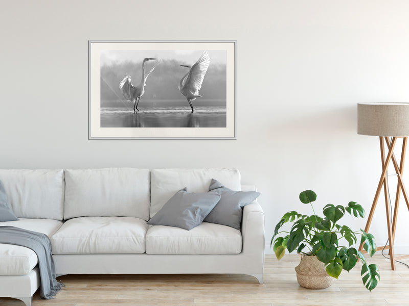 Poster - Black and White Herons  - wit passepartout